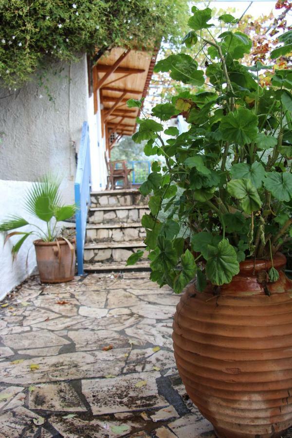 Villa Krassi Epidaurus Εξωτερικό φωτογραφία